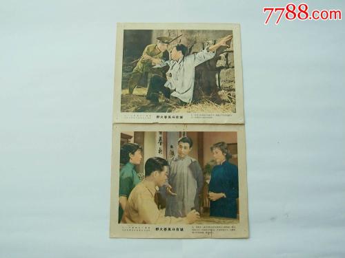 教师资格证学历证书编号在哪里填